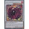 Legendary 5D's Decks - Black Rose Dragon