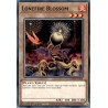 Legendary 5D's Decks - Lonefire Blossom