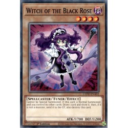 Legendary 5D's Decks - Witch of the Black Rose