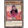 Legendary 5D's Decks - Rose Princess