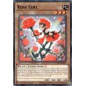 Legendary 5D's Decks - Rose Girl