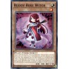 Legendary 5D's Decks - Ruddy Rose Witch