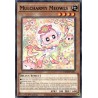 Legendary 5D's Decks - Mulcharmy Meowls