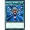 Legendary 5D's Decks - Monster Reborn