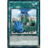 Legendary 5D's Decks - Miracle Fertilizer
