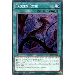 Legendary 5D's Decks - Frozen Rose