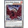 Legendary 5D's Decks - Black Rose Dragon
