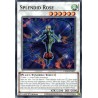 Legendary 5D's Decks - Splendid Rose