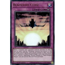 Legendary 5D's Decks - Blackbird Close