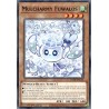 Legendary 5D's Decks - Mulcharmy Fuwalos