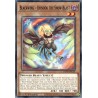 Legendary 5D's Decks - Blackwing - Chinook the Snow Blast