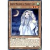Legendary 5D's Decks - Ghost Mourner & Moonlit Chill