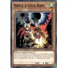 Legendary 5D's Decks - Droll & Lock Bird