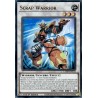 Legendary 5D's Decks - Scrap Warrior
