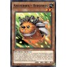 Legendary 5D's Decks - Anchorbolt Hedgehog