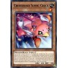 Legendary 5D's Decks - Crossroad Sonic Chick