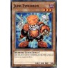Legendary 5D's Decks - Junk Synchron