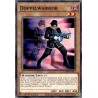 Legendary 5D's Decks - Doppelwarrior