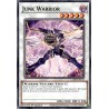 Legendary 5D's Decks - Junk Warrior