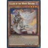 Burst Protocol - Fallen of the White Dragon
