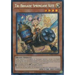 Burst Protocol - Tri-Brigade Springans Kitt