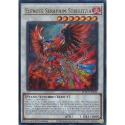 Burst Protocol - Elfnote Seraphim Strelitzia