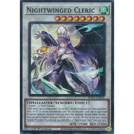 Burst Protocol - Nightwinged Cleric