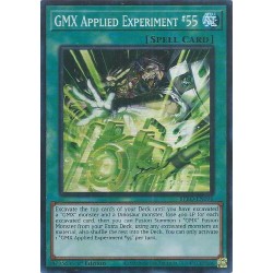 Burst Protocol - GMX Applied Experiment #55