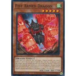 Burst Protocol - Fist Armed Dragon