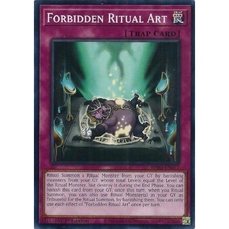 Burst Protocol - Forbidden Ritual Art