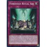 Burst Protocol - Forbidden Ritual Art