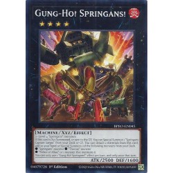 Burst Protocol - Gung-Ho! Springans!