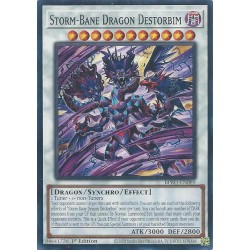 Burst Protocol - Storm-Bane Dragon Destorbim