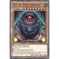 Phantom Revenge - Pot of The Forbidden