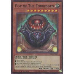 Phantom Revenge - Pot of The Forbidden