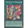 Maze of Muertos - The Gaze of Timaeus