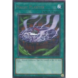 Maze of Muertos - Magic Planter