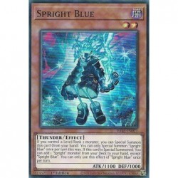 Rarity Collection 5 - Spright Blue