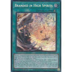 Rarity Collection 5 - Branded in High Spirits