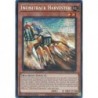 Rarity Collection 5 - Infinitrack Harvester