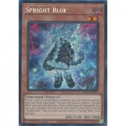 Rarity Collection 5 - Spright Blue
