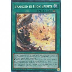 Rarity Collection 5 - Branded in High Spirits