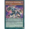 Rarity Collection 5 - D/D Count Surveyor