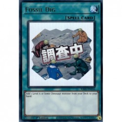 Rarity Collection 5 - Fossil Dig