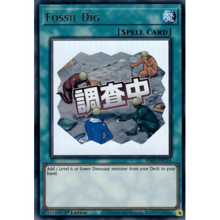 Rarity Collection 5 - Fossil Dig