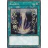 Rarity Collection 5 - Raigeki (Starlight Rare)