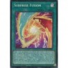 Battles of Legend: Glorious Gallery - Surprise Fusion