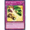 Legendary Deck II - ﻿Burst Breath