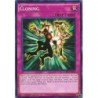 Legendary Deck II - ﻿Cloning