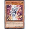 Legendary Deck II - ﻿Silent Magician LV8